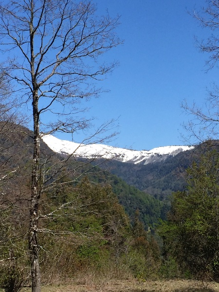Hermosas Parcelas De Montaña en loteo consolidado cercano a Pucón