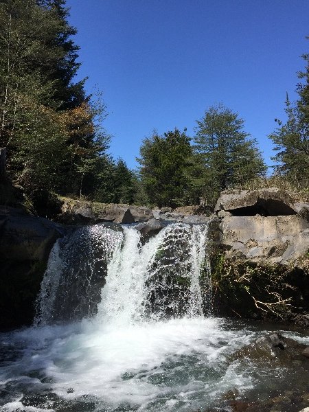 Hermosas Parcelas De Montaña en loteo consolidado cercano a Pucón