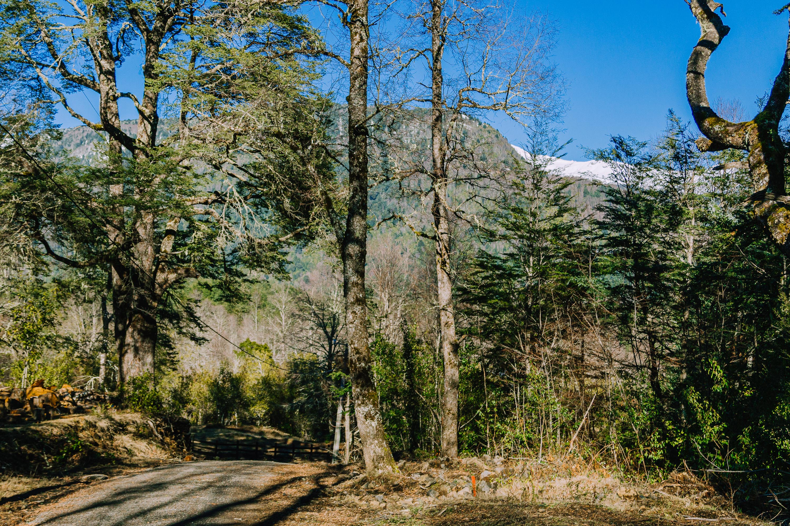 Hermosas Parcelas De Montaña en loteo consolidado cercano a Pucón