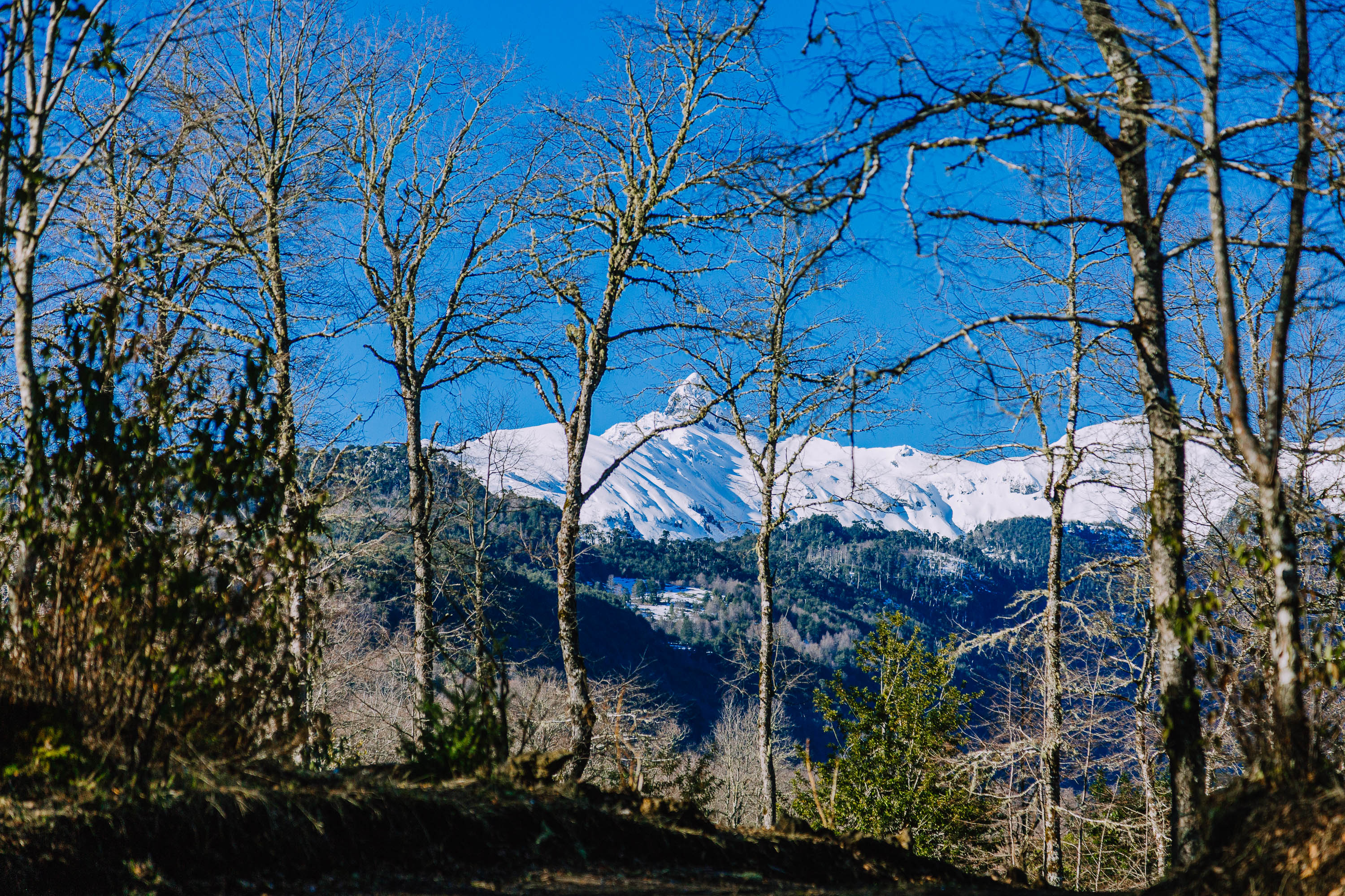 Hermosas Parcelas De Montaña en loteo consolidado cercano a Pucón
