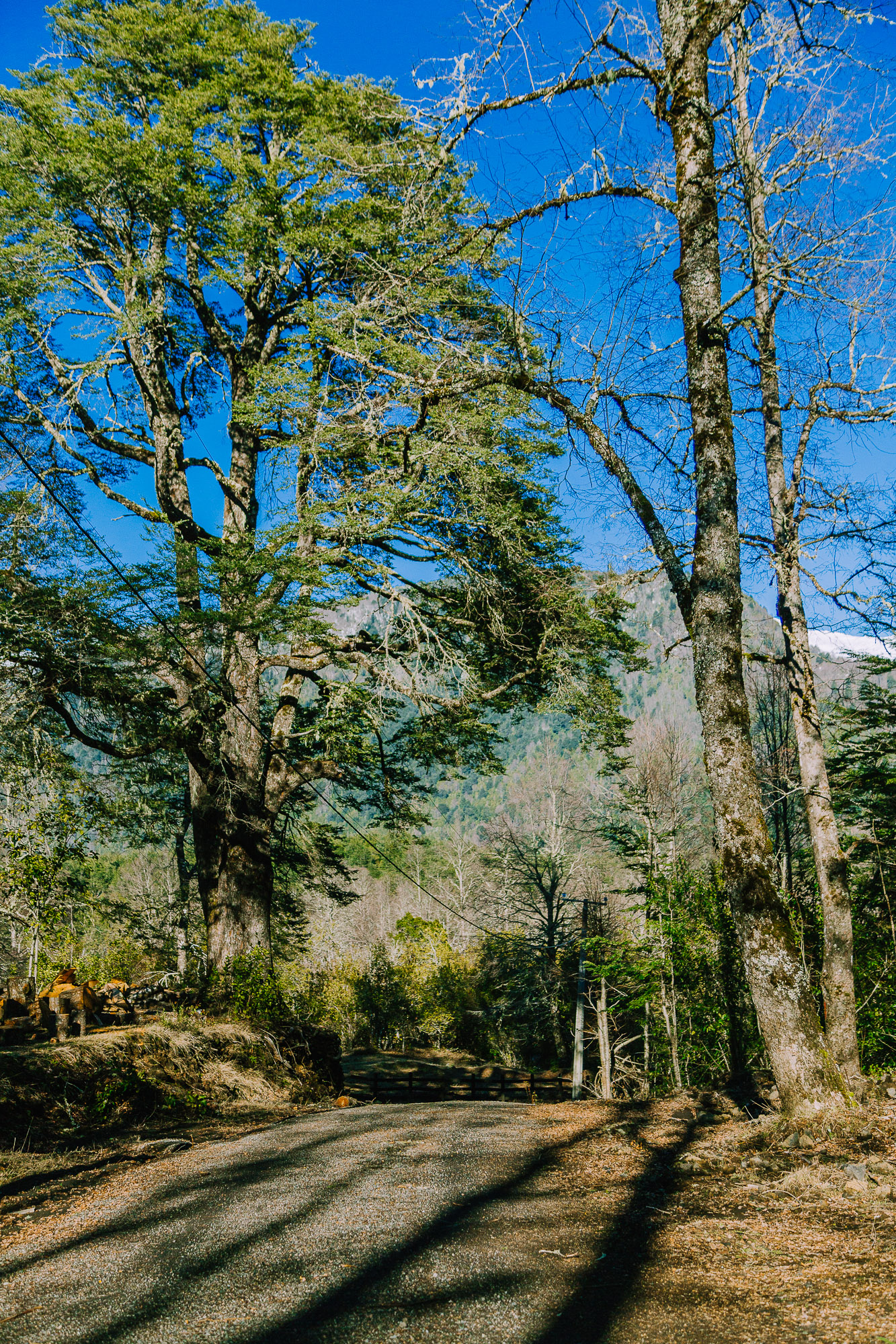 Hermosas Parcelas De Montaña en loteo consolidado cercano a Pucón