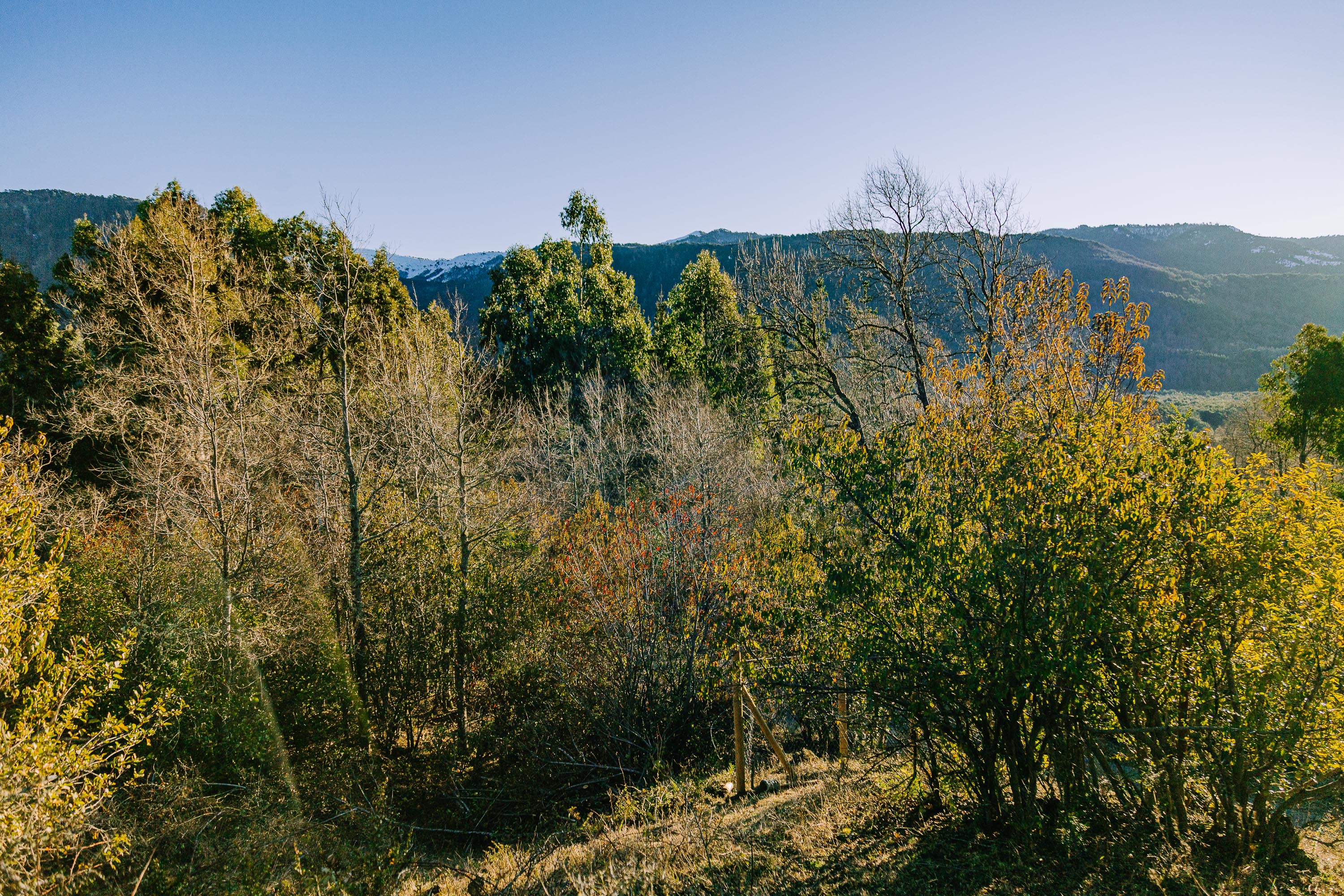 Hermosas Parcelas De Montaña en loteo consolidado cercano a Pucón