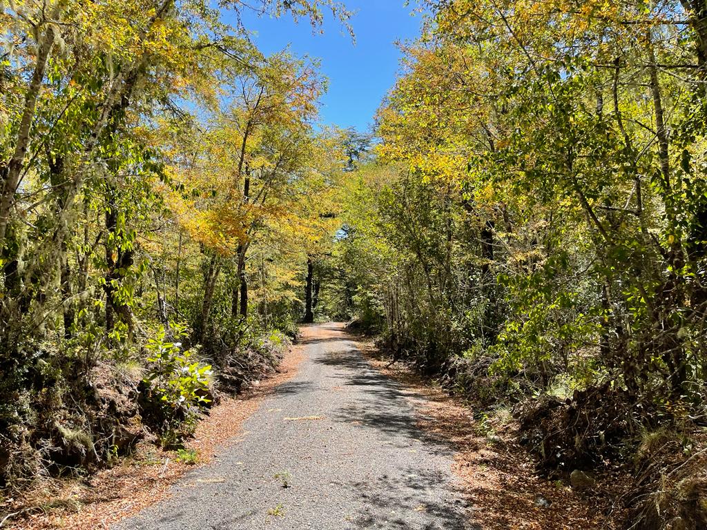 Hermosas Parcelas De Montaña en loteo consolidado cercano a Pucón