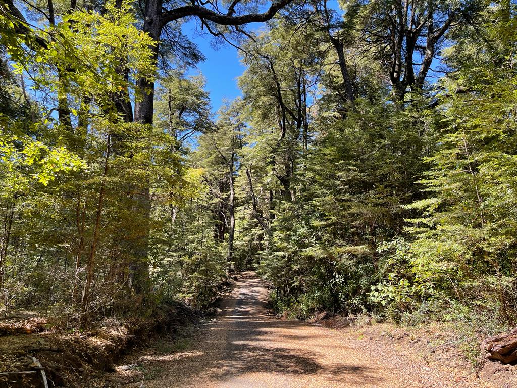 Hermosas Parcelas De Montaña en loteo consolidado cercano a Pucón