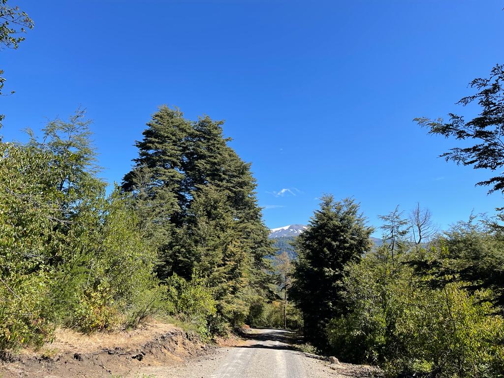 Hermosas Parcelas De Montaña en loteo consolidado cercano a Pucón