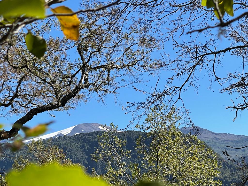 Hermosas Parcelas De Montaña en loteo consolidado cercano a Pucón