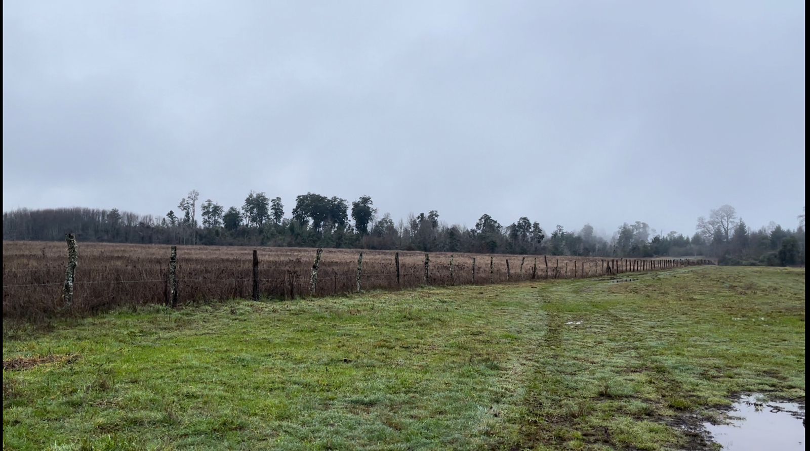 Predio de 44 hectáreas Ideal para inversionistas entre Villarrica y Loncoche