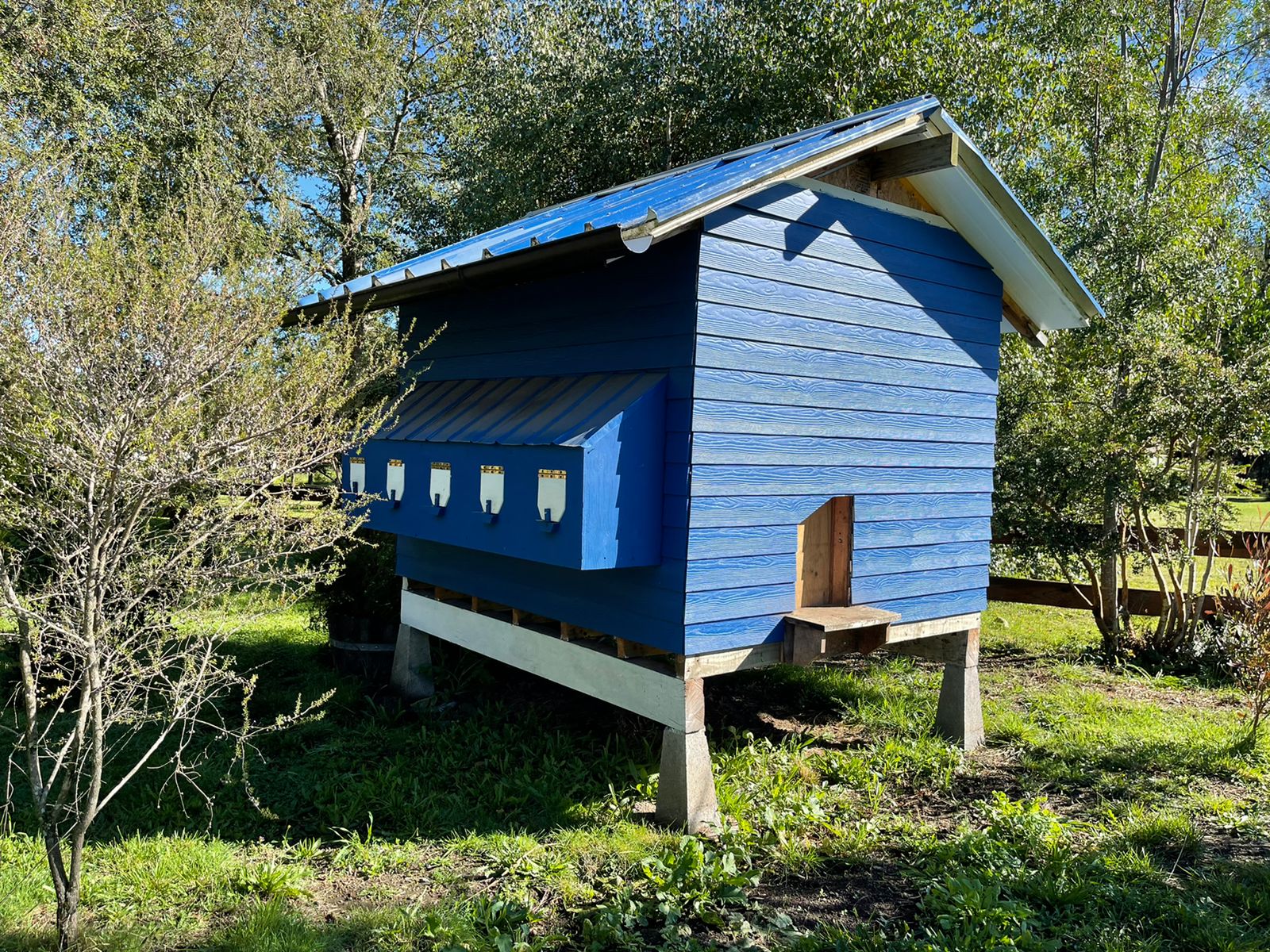 Acogedora casa en parcela de ensueño, con encantadores espacios, riachuelo, bosque  y jardines