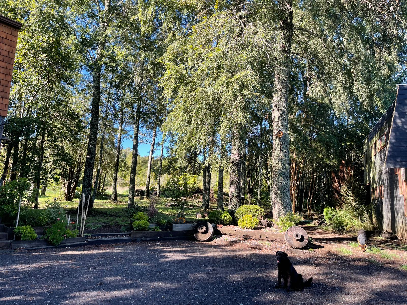 Acogedora casa en parcela de ensueño, con encantadores espacios, riachuelo, bosque  y jardines