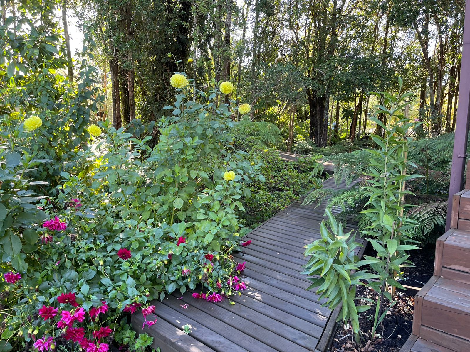 Acogedora casa en parcela de ensueño, con encantadores espacios, riachuelo, bosque  y jardines