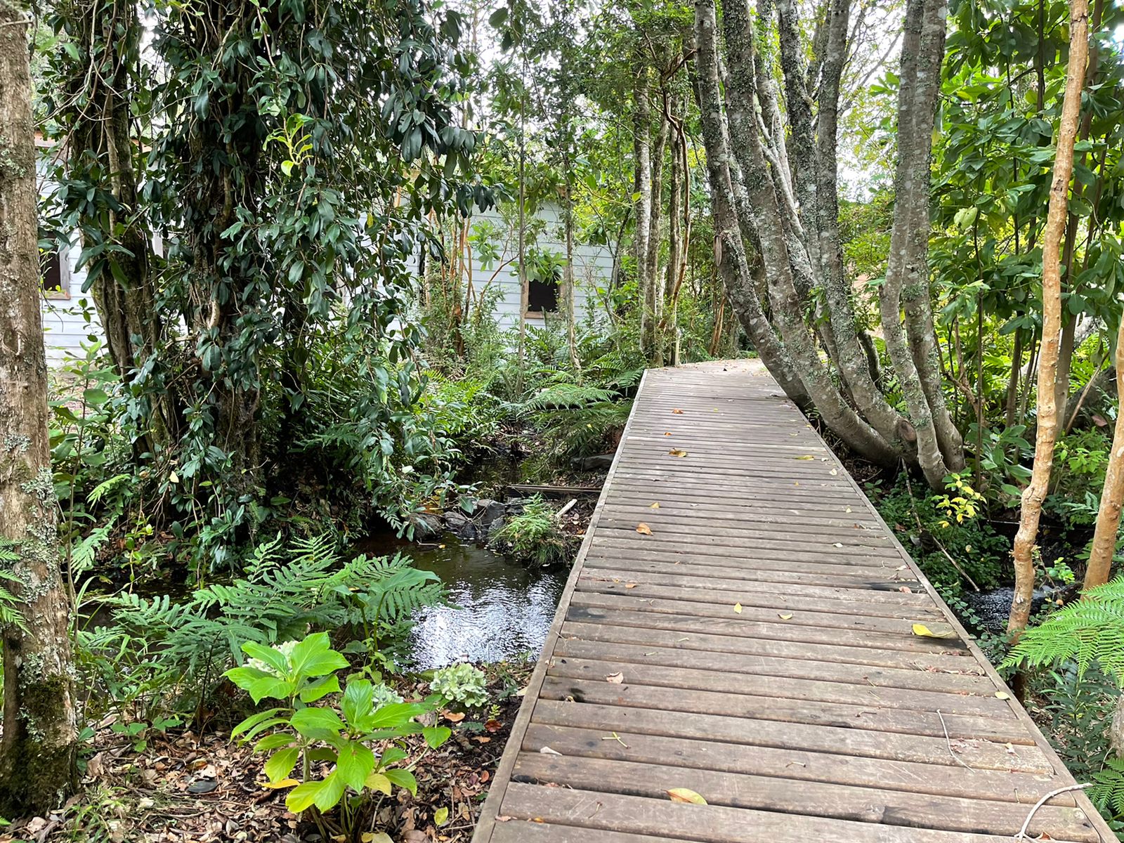 Acogedora casa en parcela de ensueño, con encantadores espacios, riachuelo, bosque  y jardines