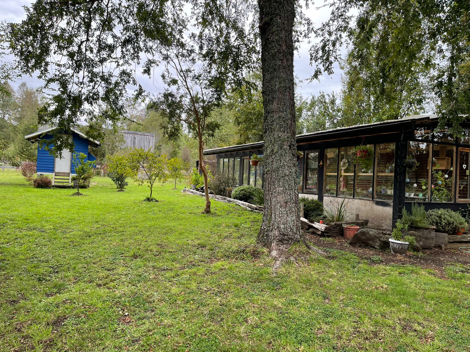 Acogedora casa en parcela de ensueño, con encantadores espacios, riachuelo, bosque  y jardines