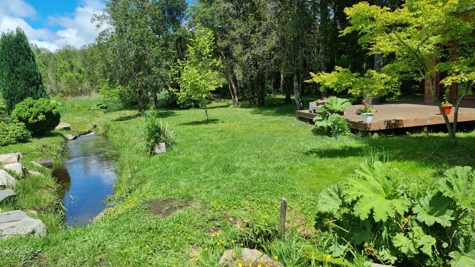 Acogedora casa en parcela de ensueño, con encantadores espacios, riachuelo, bosque  y jardines