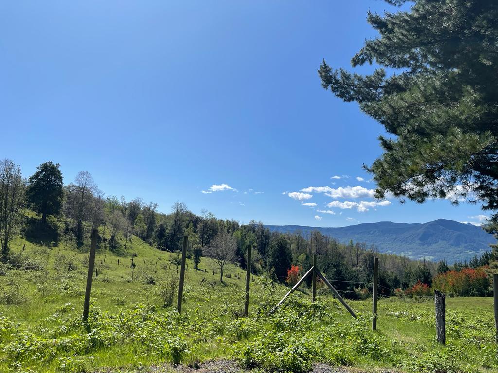 REBAJADA!. Hermosa parcela de 7200 m2 con vegetación nativa, hermoso y tranquilo entorno a solo 7 minutos de Pucón