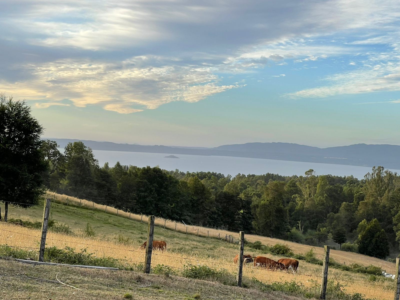 Hermosa Vista a Lago Villarrica en el corazón de Candelaria, Pucón