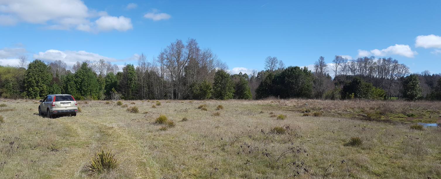 Maravilloso terreno de 1.2 Ha a sólo 4 Km de Villarrica, alta plusvalía