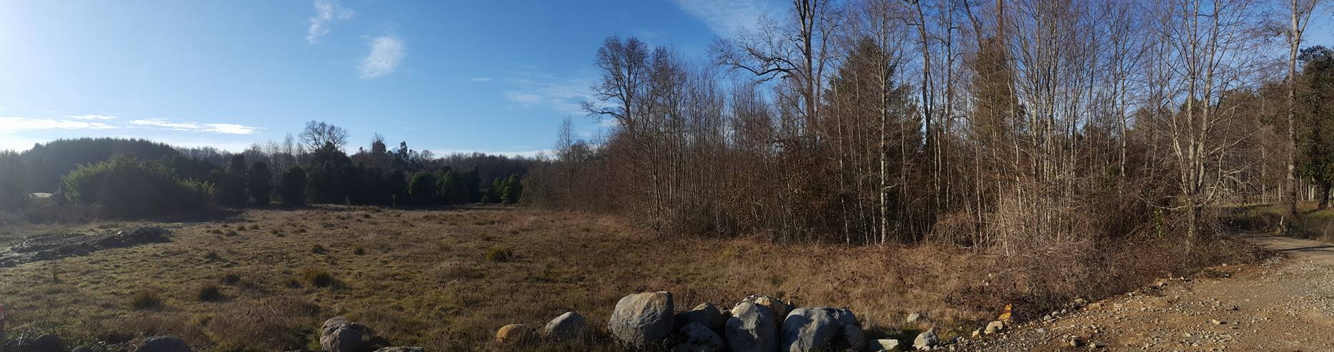 Maravilloso terreno de 1.2 Ha a sólo 4 Km de Villarrica, alta plusvalía